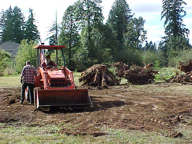 Excavating Stumps