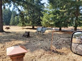 At our septic system installation in Estacada OR., Old Besty and Big Gray never gave us a problem. They are made from abs plastic. Quiet... 