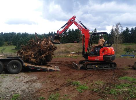 Tree Stump Removal